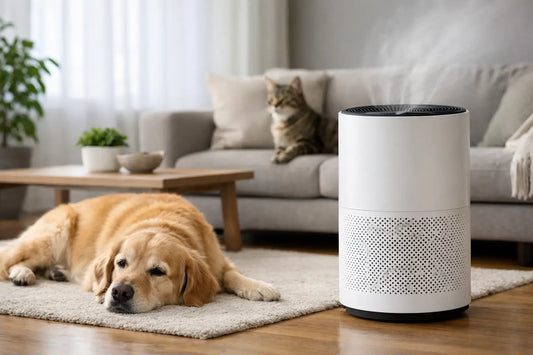 Pet Dander Air Purifier Guide for Cleaner Homes