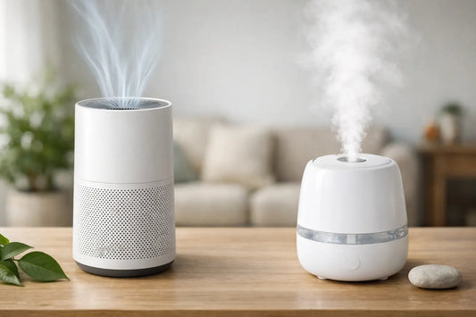 Air Purifier vs Humidifier: Which One Helps?