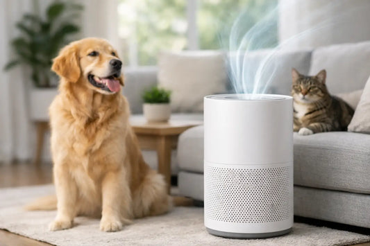 Best Air Purifier for Pet Dander