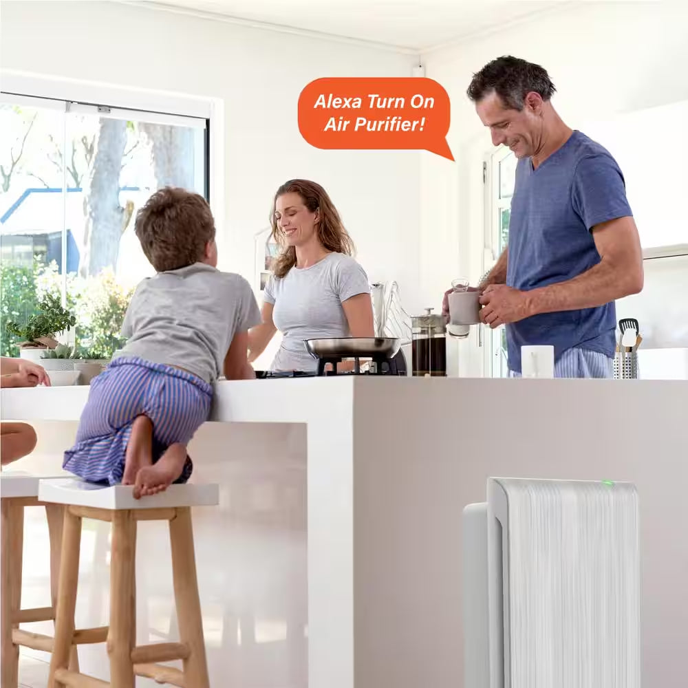 Smart Air Purifier
