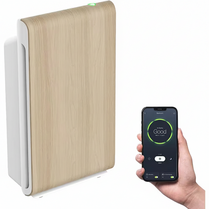 Smart Air Purifier